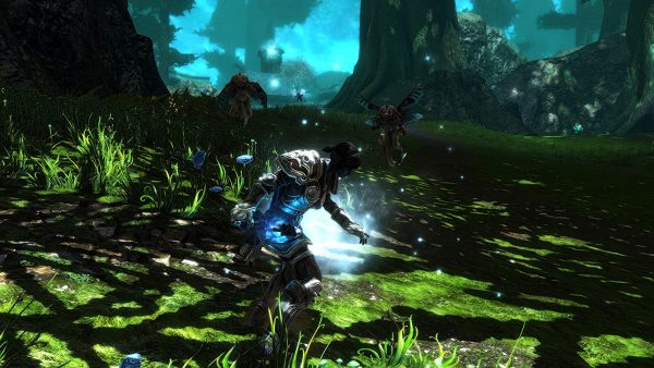 Kingdoms of Amalur Re-Reckoning screen 2