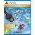 HUMAN FALL FLAT PS5