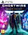 GWTDE-PS5-2D-pack-PEGI